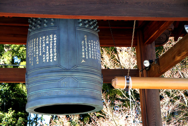 京の花だより 高台寺 募金_e0048413_22205773.jpg