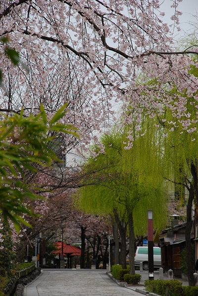 a0114714_81284.jpg