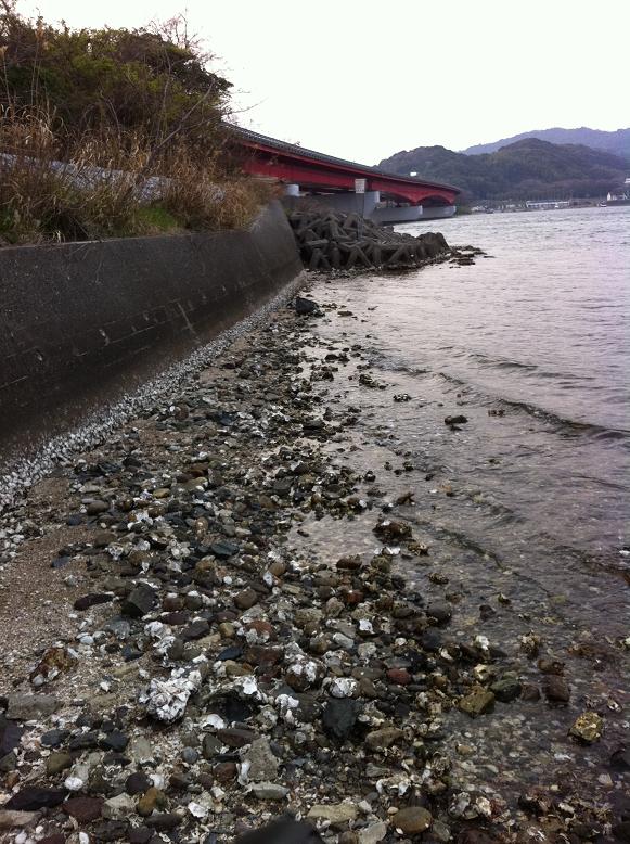 [最も共有された！ √] 浜名湖 中之島 308972浜名湖 中之島 ルアー