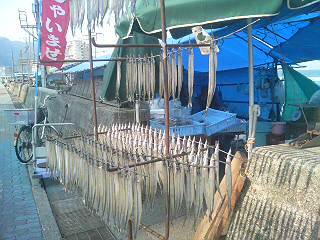 c0129314_16191362.jpg
