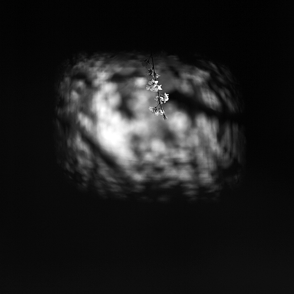 c0115616_530343.jpg
