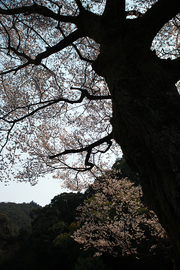 c0115616_5303517.jpg