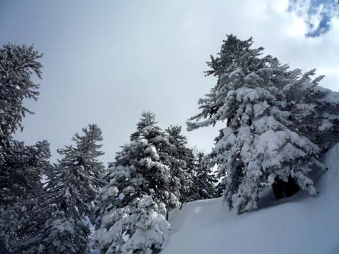 お山はまだまだ雪がいっぱい。_f0096216_19311142.jpg