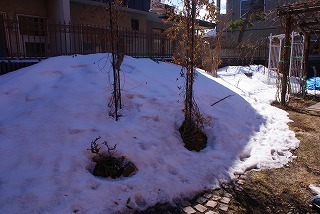 f0170524_13515293.jpg
