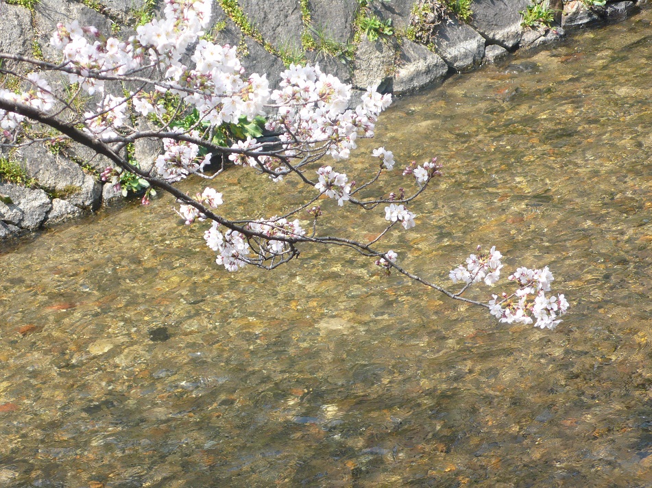 a0187426_20115598.jpg