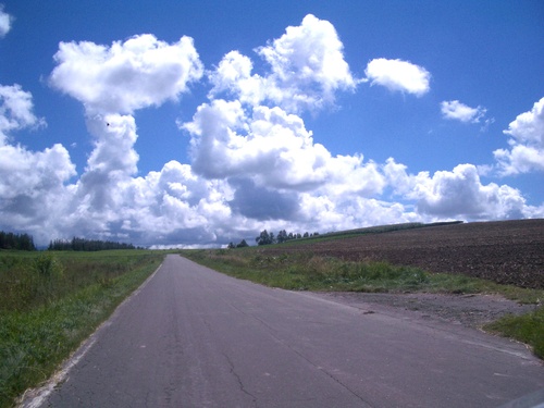 f0106727_6174193.jpg