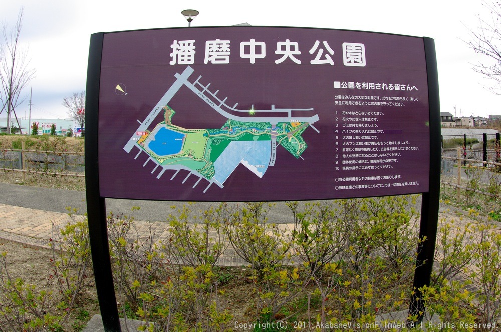 2011桑名遠征日記VOL1:4月2日コース外の風景_b0065730_23361756.jpg