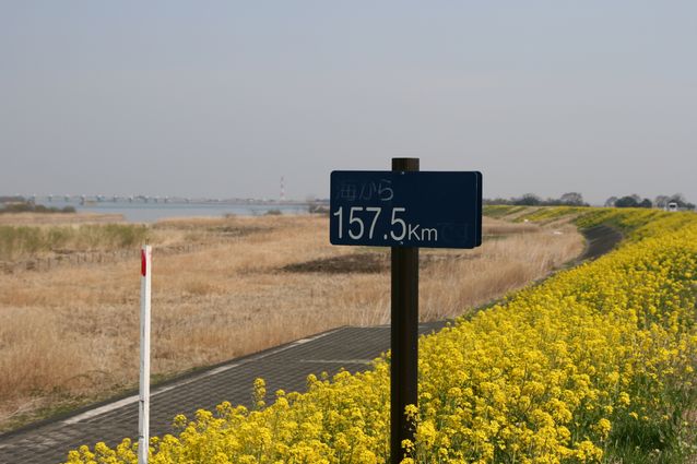 e0007544_835681.jpg