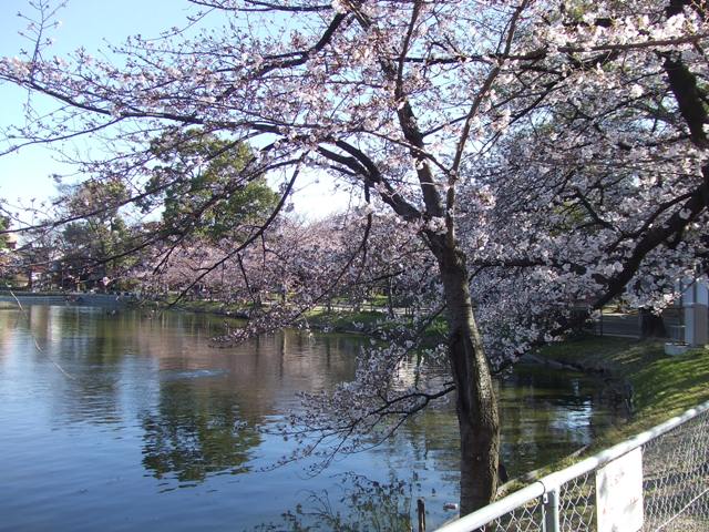 e0046748_17213263.jpg