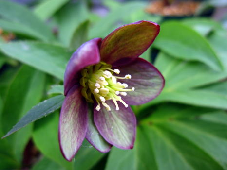c0147952_2242917.jpg