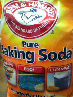 ARM & HAMMER Pure Baking Soda_c0054954_1685934.jpg