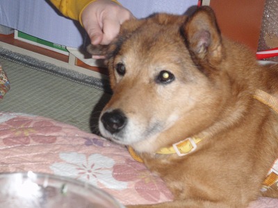 c0180460_019928.jpg