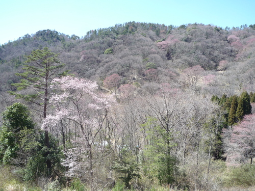 b0129962_15324220.jpg