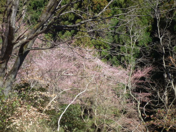 b0129962_15373059.jpg