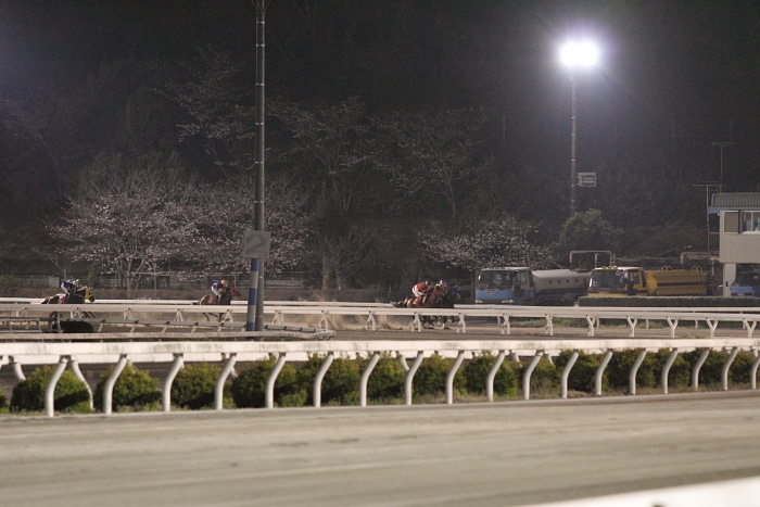 2011年4月1日（金） 高知競馬 10R 鯨潮吹く太平洋特別 C1-1_a0077663_748431.jpg