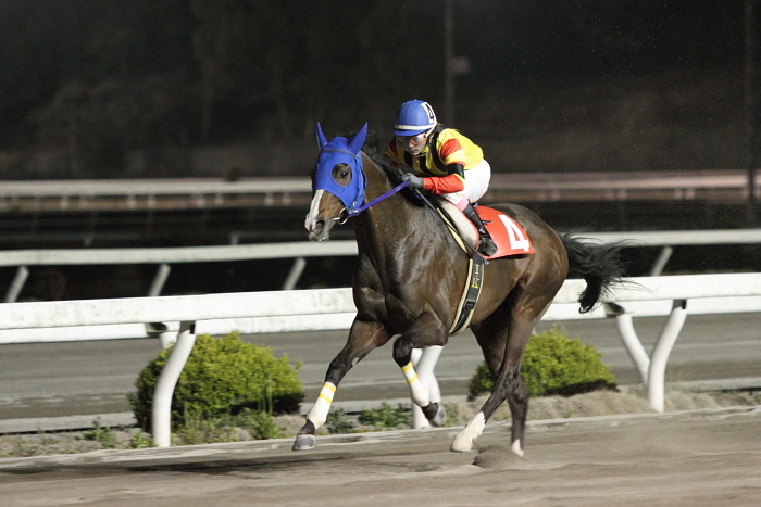 2011年4月1日（金） 高知競馬 10R 鯨潮吹く太平洋特別 C1-1_a0077663_7491386.jpg