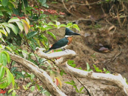 f0208666_11415246.jpg