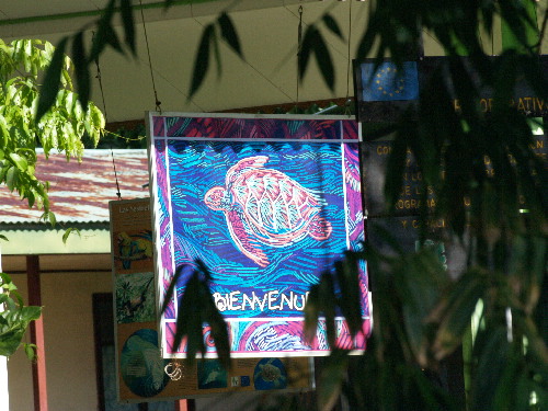 f0208666_1165747.jpg