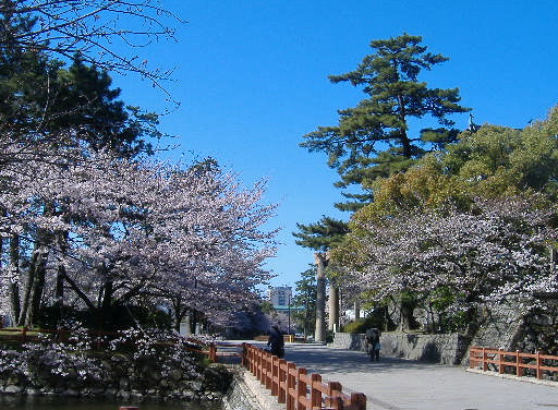 b0195872_20424099.jpg