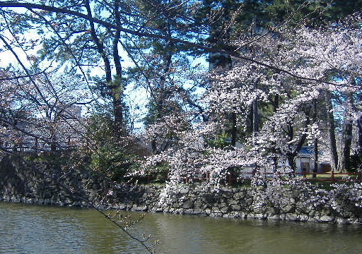 b0195872_20425835.jpg