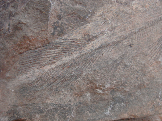 e0211781_190530.jpg