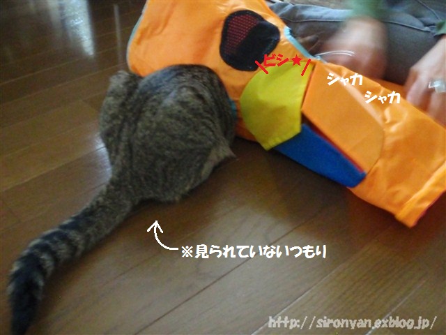 a0159490_14271621.jpg