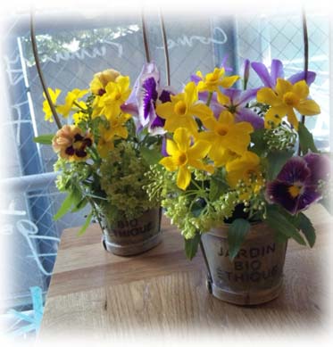 匂い水仙のジョンク 季節のお花屋さん ローズキッチン 匂い水仙のジョンク 季節のお花屋さん ローズキッチン