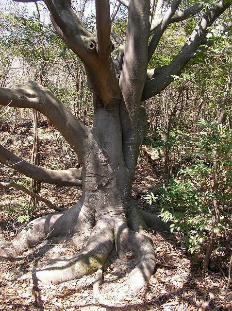 e0183004_22444626.jpg