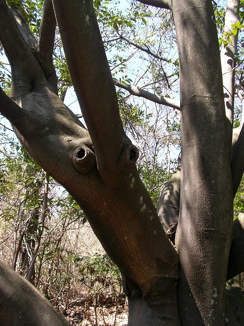 e0183004_2245663.jpg