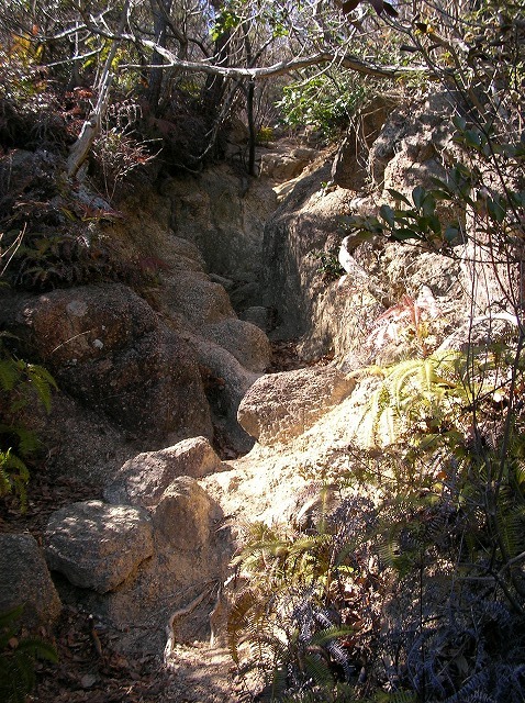 e0183004_2259209.jpg