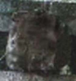 e0103408_14375070.jpg