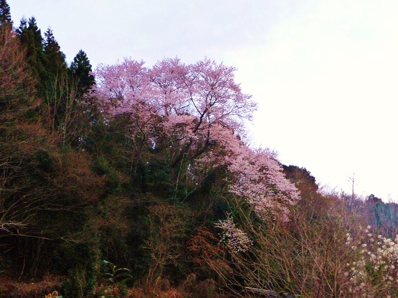 f0182513_14381816.jpg