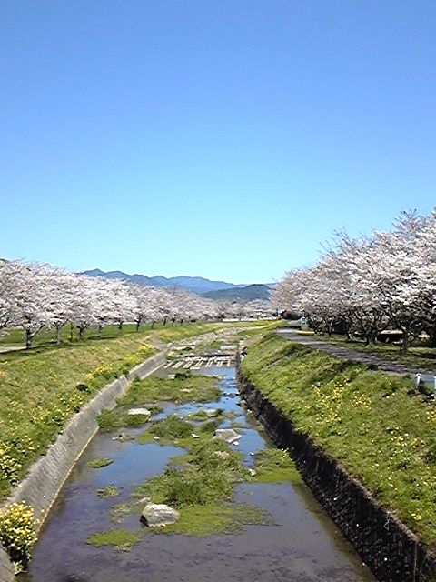 ◆朝倉街道をゆく　～目指せ！ちくしの進学教室～_e0114015_21245244.jpg