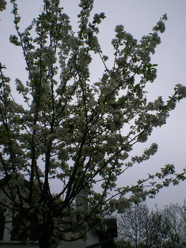 c0124619_5332148.jpg