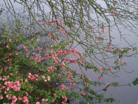 c0124619_5334012.jpg