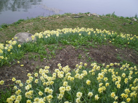 c0124619_534174.jpg