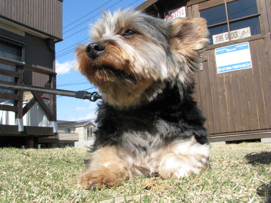 a0149522_21464965.jpg