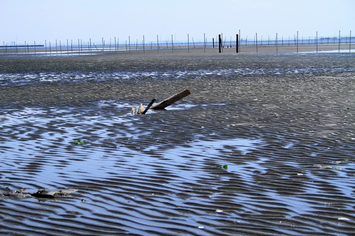 c0104227_764948.jpg