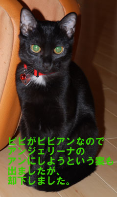 f0092031_16153052.jpg