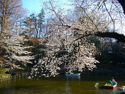 井の頭公園はこのくらい_f0130642_20522971.jpg