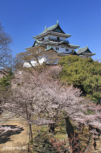 c0127748_11571859.jpg