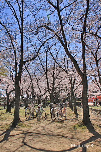 c0127748_11575862.jpg