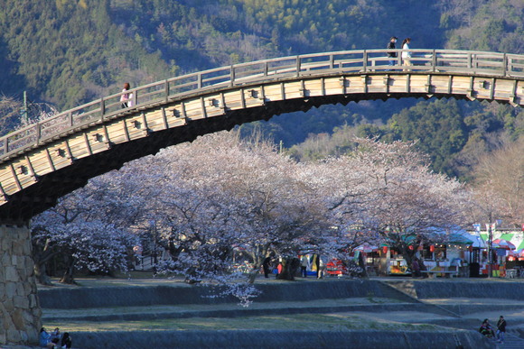 桜、、2_d0163550_204461.jpg