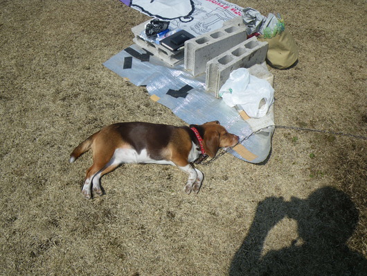 f0046250_7163479.jpg
