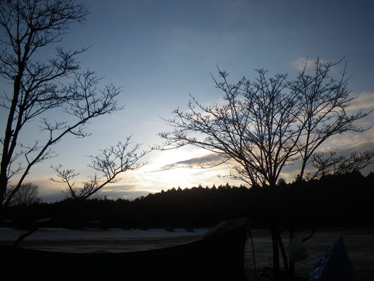 f0046250_73159.jpg