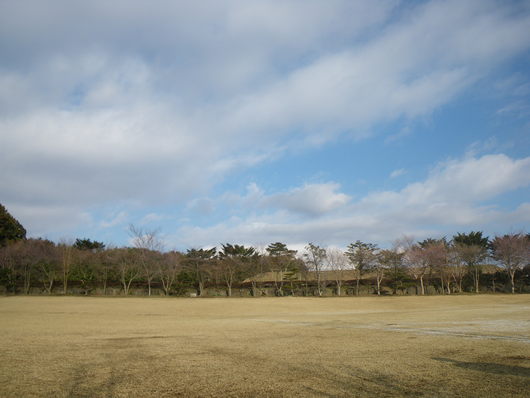 f0046250_772122.jpg