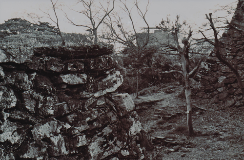 e0156251_0402314.jpg