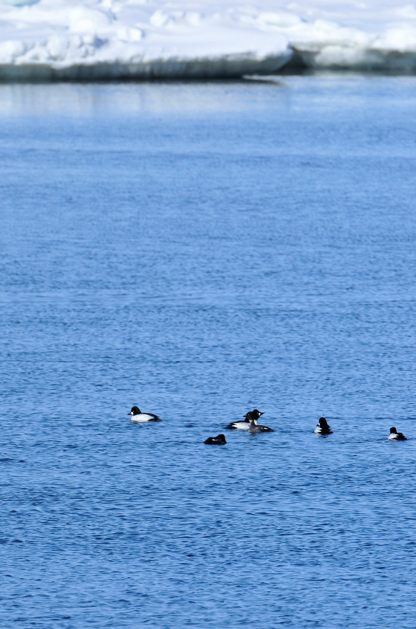 b0148352_2339737.jpg