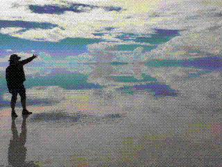 c0180853_522225.gif