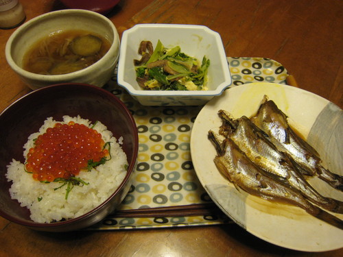 収穫やら夕飯やら色々と_e0121558_2334990.jpg